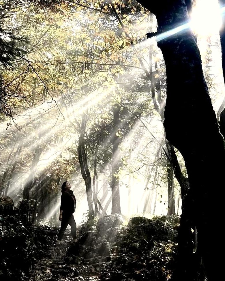 Vanessa en forêt, dans un rayon de lumière